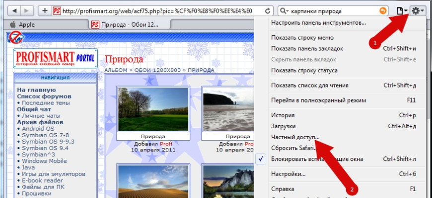 в сафари
